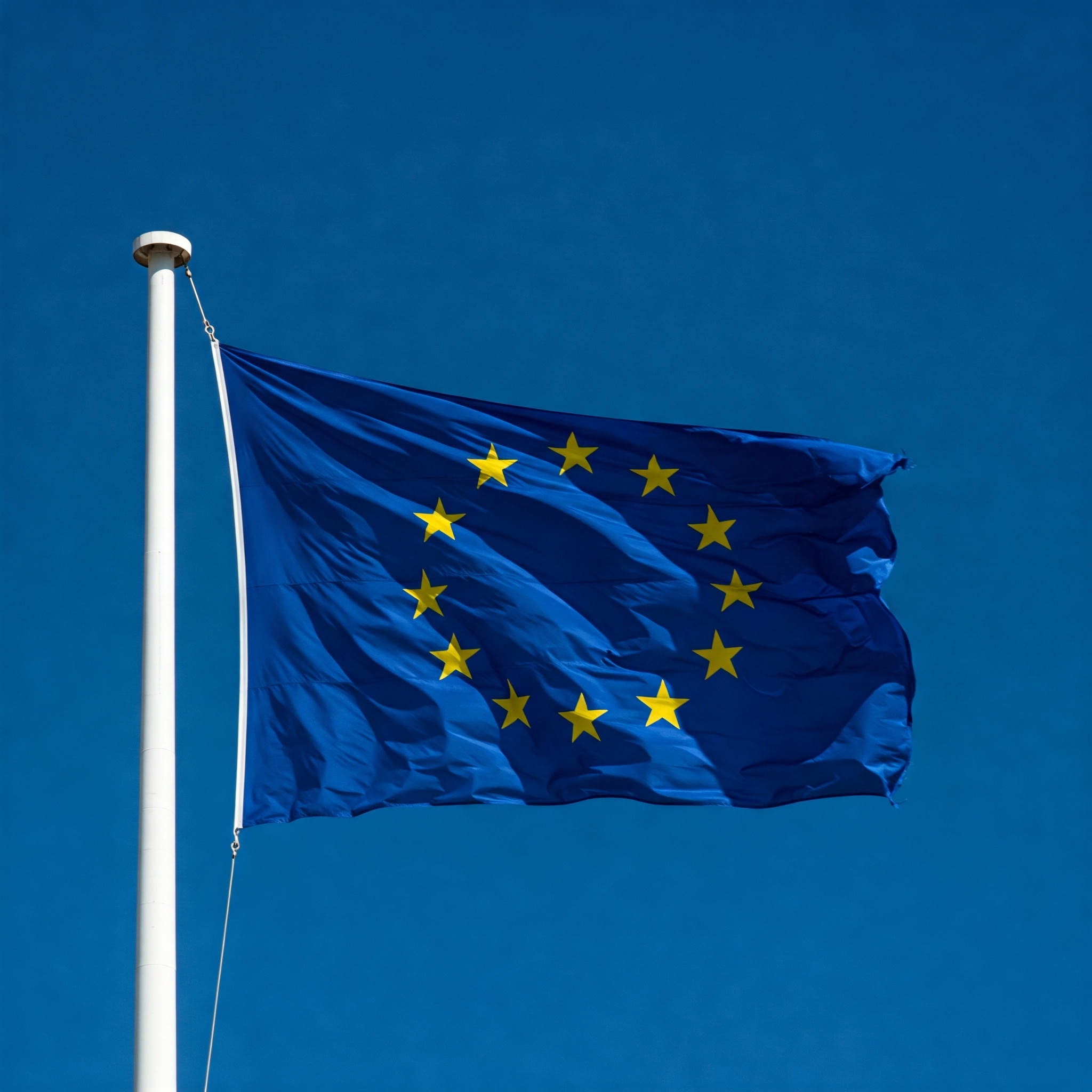 European Union Flag
